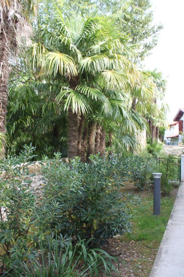 Chalet Ilona Cambo-les-Bains Exterior photo